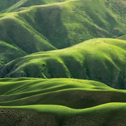 Distant Lands